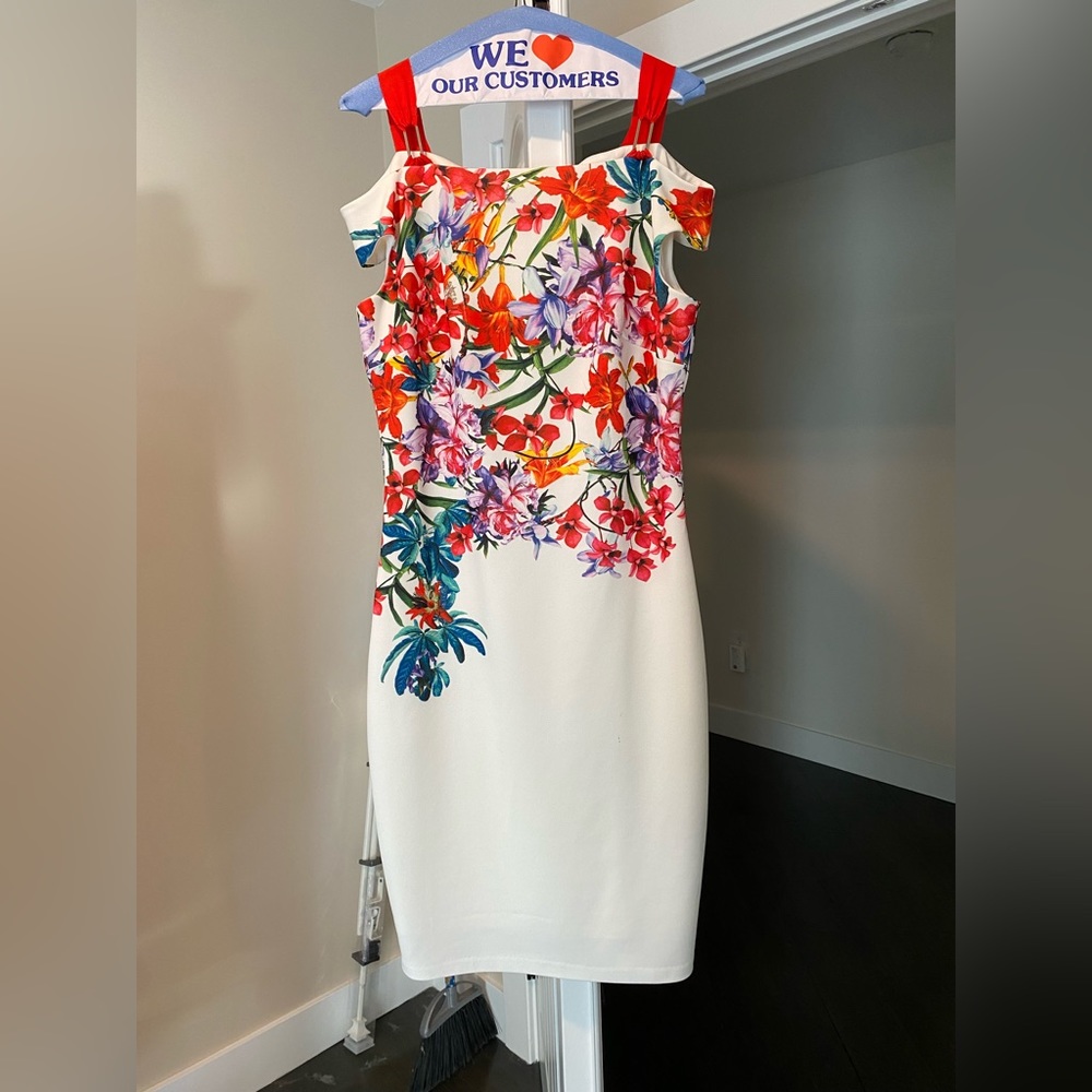 Jax Black Label Floral Dress; Red & Cream Color; Size 8; ONLY WORN ONCE